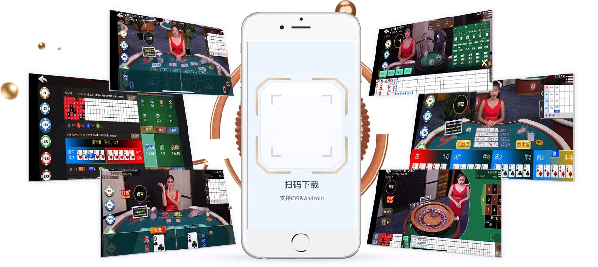横版 App 预览